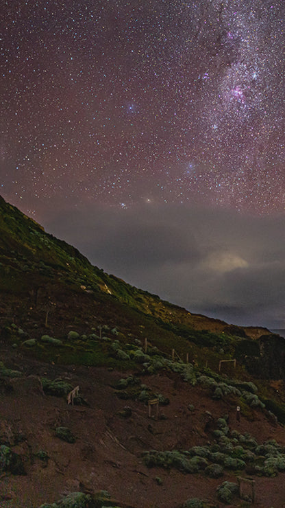 Aurora Australis Star Sky Art Coastal Canvas (0269)