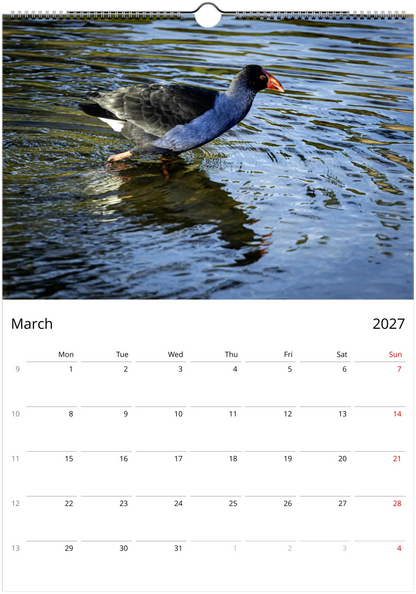 Purple swamphens wall calendar by Istvan Maar Photography featuring a bird in a wetland.