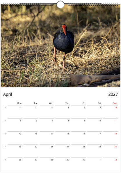 A page of the Purple swamphens wall calendar by Istvan Maar Photography featuring bird in Melbourne park.