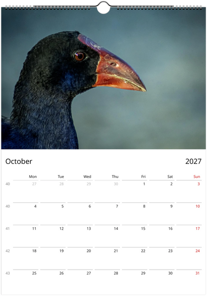 A page of Purple swamphens wall calendar by Istvan Maar Photography featuring a bird in focus.