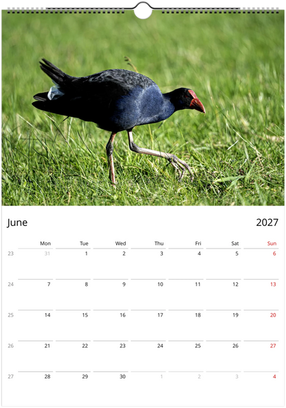 Purple swamphens wall calendar by Istvan Maar Photography featuring a bird in a green grass field.
