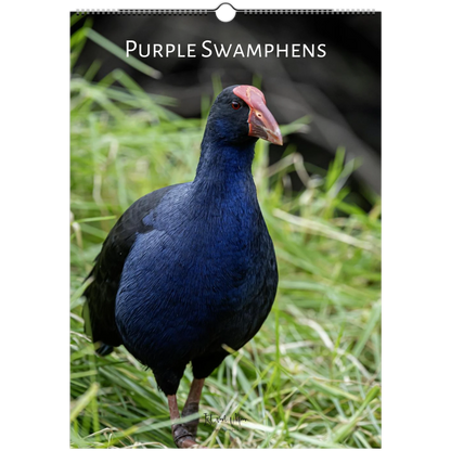Purple swamphens wall calendar by Istvan Maar Photography featuring these birds in Melbourne parks.