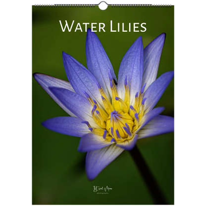Water lilies wall calendar with twelve months of beautiful aquatic flower photography