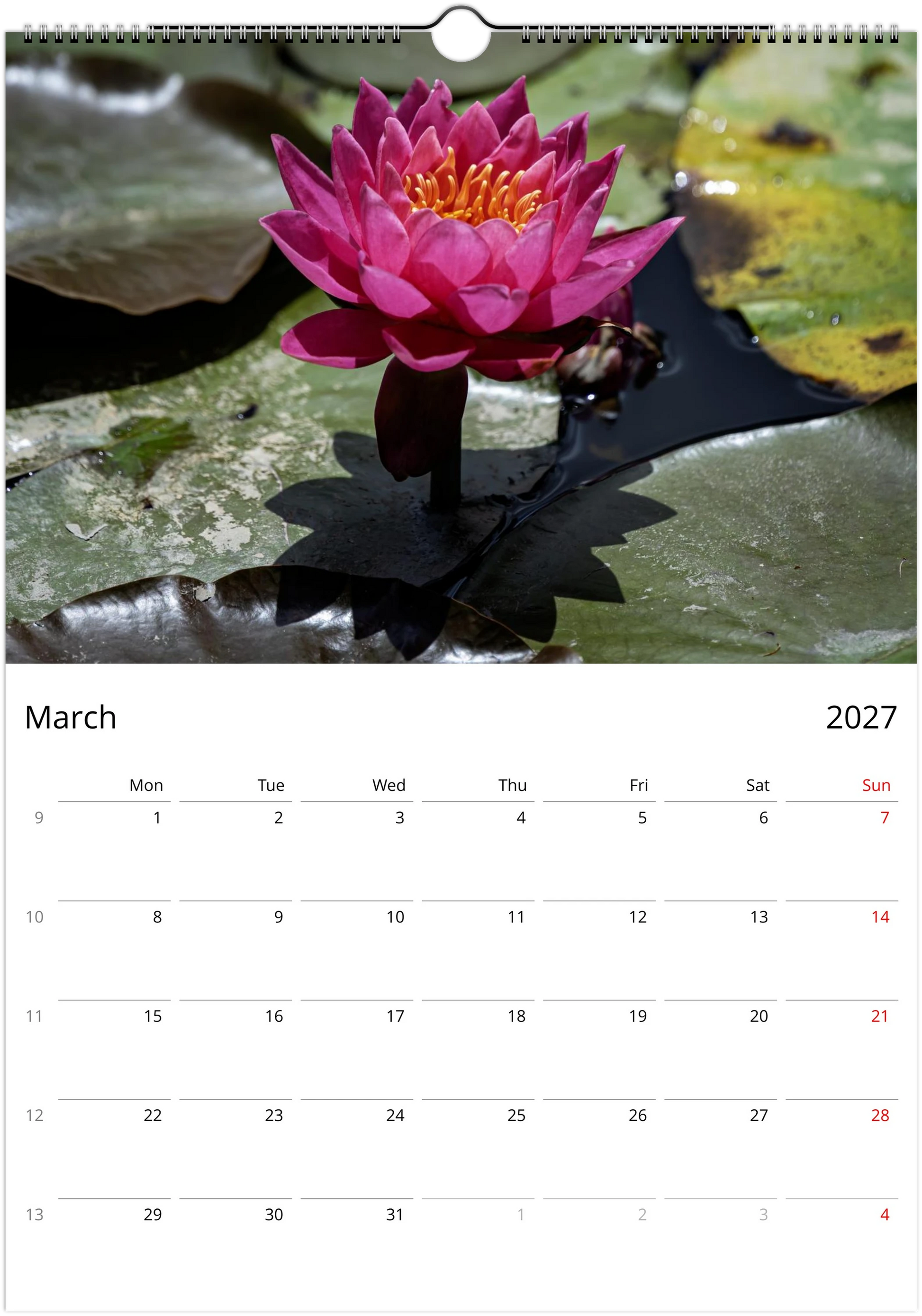 2027 Water Lilies Wall Calendar | 0556 Istvan Maar Photography
