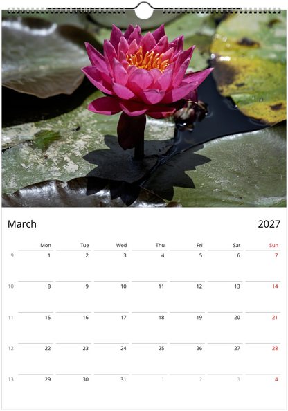 2027 Water Lilies Wall Calendar | 0556 Istvan Maar Photography